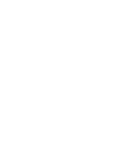 Fast and Reliable Service Image